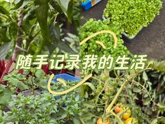 -StorHub 趣存自助仓·迷你仓(虹桥店)