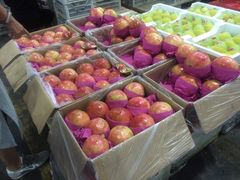 -西郊国际农产品交易中心