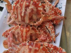 -三亚火车头万人海鲜广场