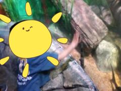 -沈阳海洋探索中心