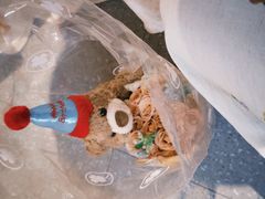 -海底捞火锅(珠影星光城夜宵主题店)