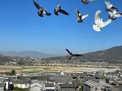 -无有景观餐厅·铜瓢牛肉·下午茶