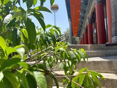 -东关清真大寺