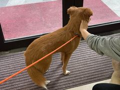 -爱妮康宠物医院·干细胞免疫细胞·肿瘤·心脏(张江店)