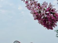-艾溪湖湿地公园