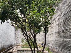 -碧江金楼