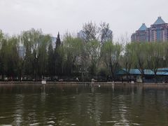 -团结湖公园