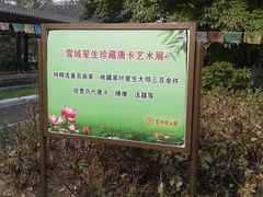 -紫竹院公园冰场