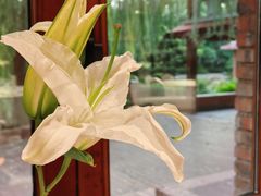-橘洲1925湖湘餐厅