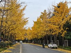 -蜀九香火锅(李家沱店)