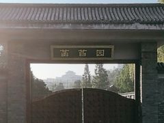 -莲花池公园