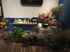 -也枫·小黄楼(南山路旗舰店)