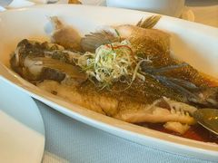 -上海明天广场JW万豪酒店