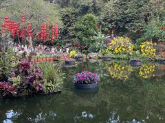-深圳仙湖植物园