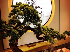 -享月汤皇·海鲜小火锅·聚会(曲江创意谷店)