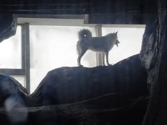 -临沂极地海洋王国