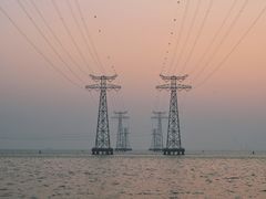 -宝安西湾红树林湿地公园