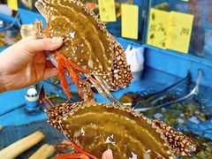 -粤盛海鲜平价店(洛溪食街店)