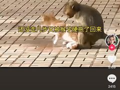 -昆明动物园