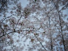 -龙美术馆西岸馆-停车场