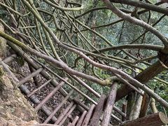 -海窝子古镇