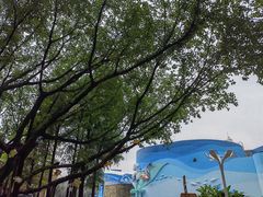 -广州海洋馆