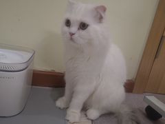 -猫和宫(六道口店)