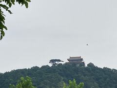 -燕塞湖鸟语林景区