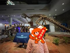 -自贡恐龙博物馆