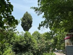 -樱桃山旅游景区