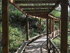 -大岭沟猕猴桃谷风景区