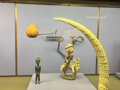 -美国自然历史博物馆