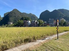 -靖西鹅泉风景区