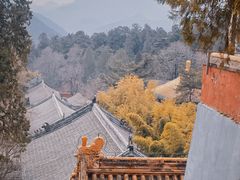 -潭柘寺景区