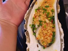 -土蚝·高压锅生蚝(百姓美食街店)
