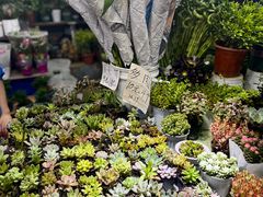 -大学城夜市大排档(凤栖路店)