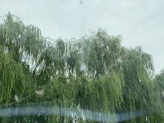 -济南大明湖景区