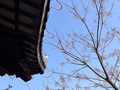 -穹窿山景区