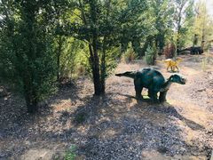 -银肯塔拉沙漠生态旅游景区