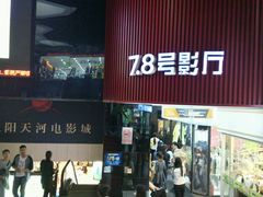 -汉阳天河电影城(王家湾店)