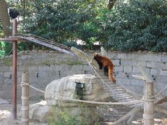 -上海野生动物园