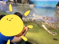 -江和美海洋公园