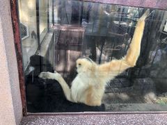 -昆明动物园