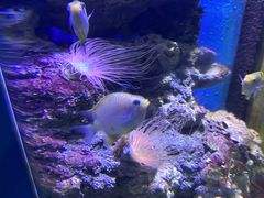 -大连老虎滩海洋公园