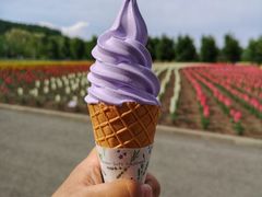 -富田农场