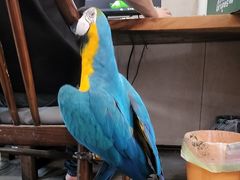 -观桥阁(锦溪店)