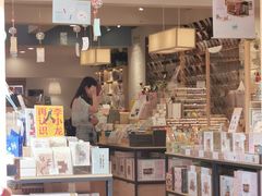 -猫的天空之城概念书店(束河店)
