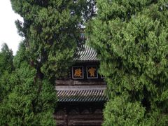 -报恩寺(平武县)