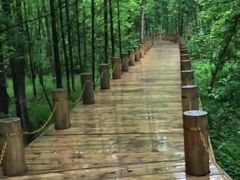 -桤木河湿地公园