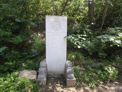 -北京鹫峰国家森林公园